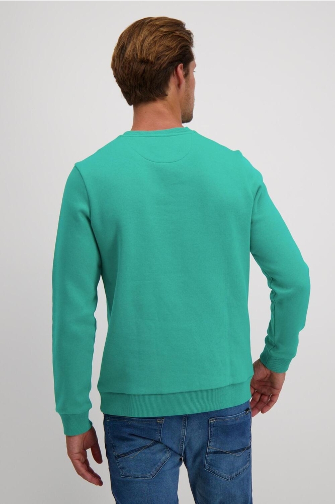 KREYAM SW 69746 Light Green